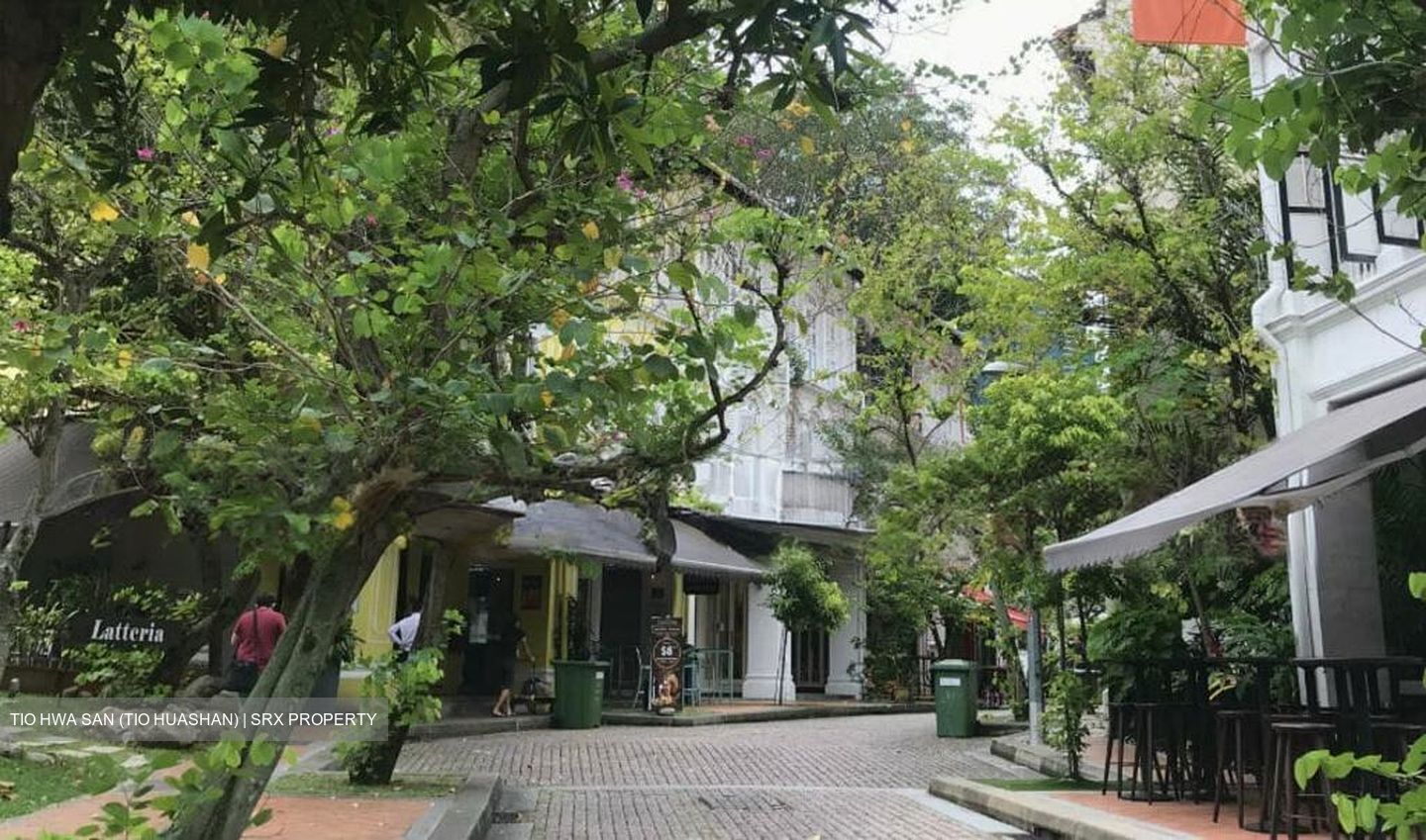 Tanjong Pagar Conservation Area (D2), Shop House #603554811